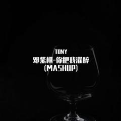 TONY-Martin Garrix-邓紫棋-你把我灌醉Starlight(MASHUP)