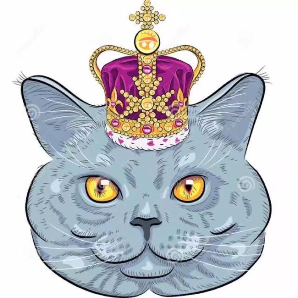 Котик с короной на голове