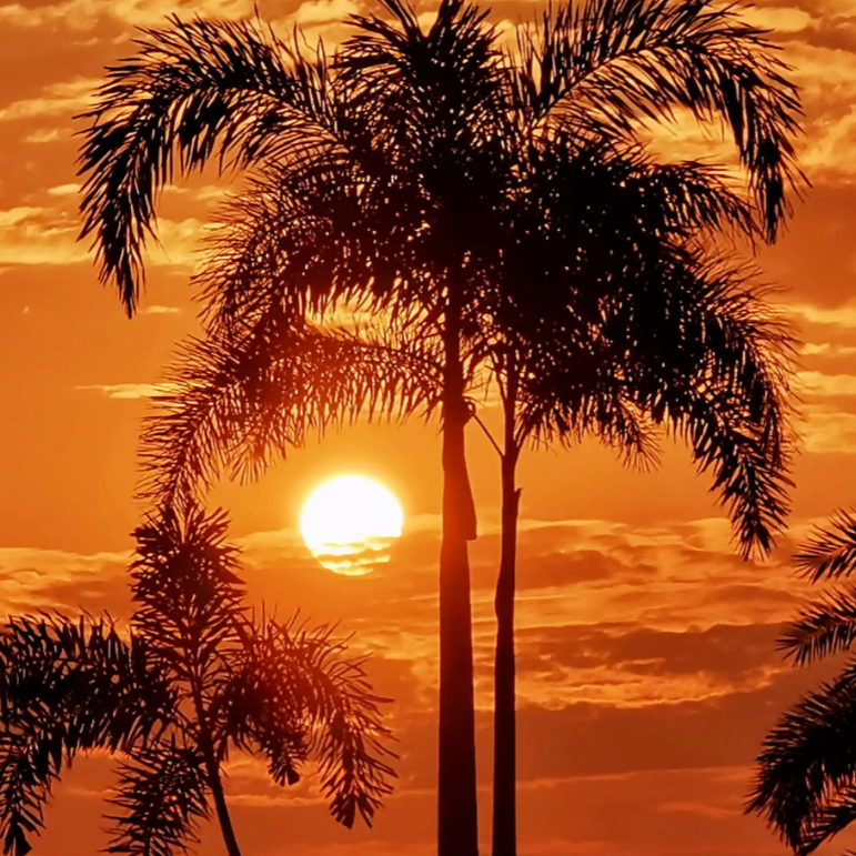 Nothin' on Me [Slowed]