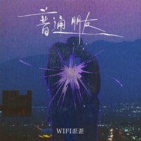 WiFi歪歪 - 普通朋友