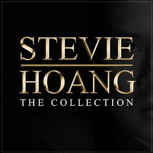 Stevie Hoang-Music For Love  立体声伴奏