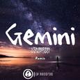 Gemini(Xenophobi Remix)