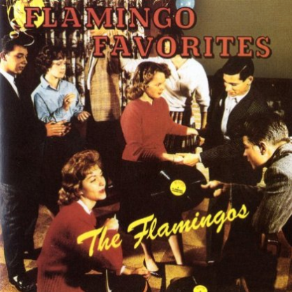 Flamingo Favorites