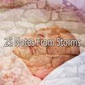 25 Notes From Storms专辑