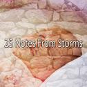 25 Notes From Storms专辑