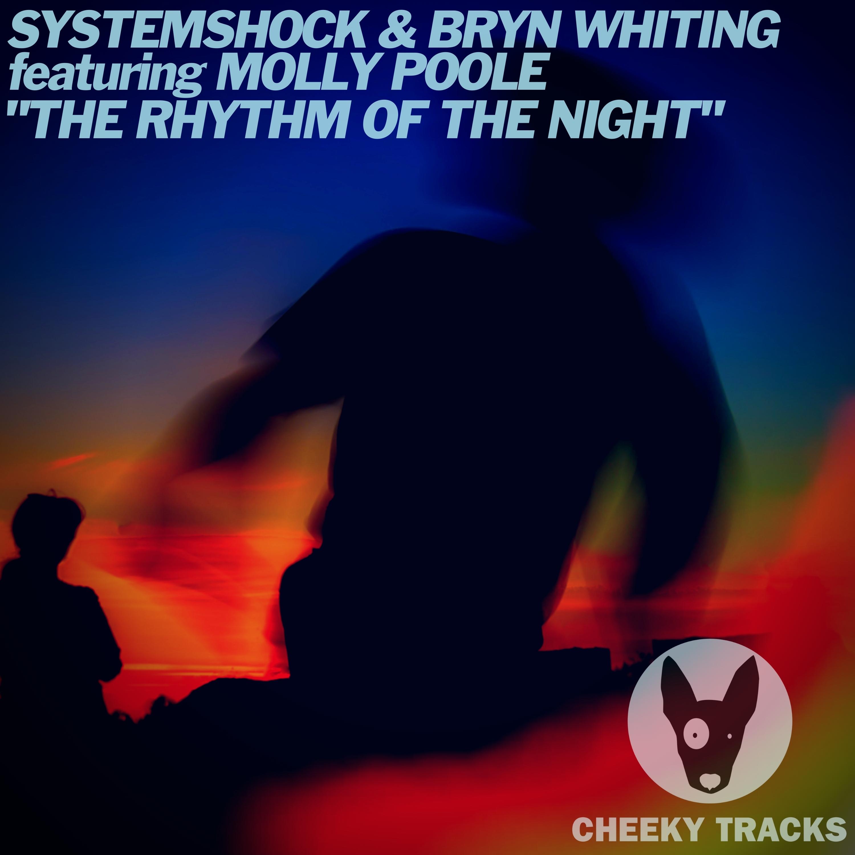 The Rhythm Of The Night