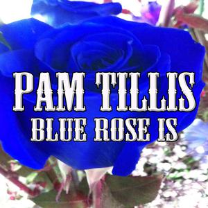 Blue Rose Is - Pam Tillis (PT karaoke) 带和声伴奏 （降6半音）