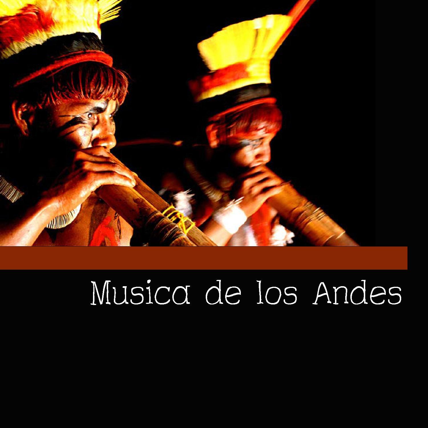 Musica de los Andes