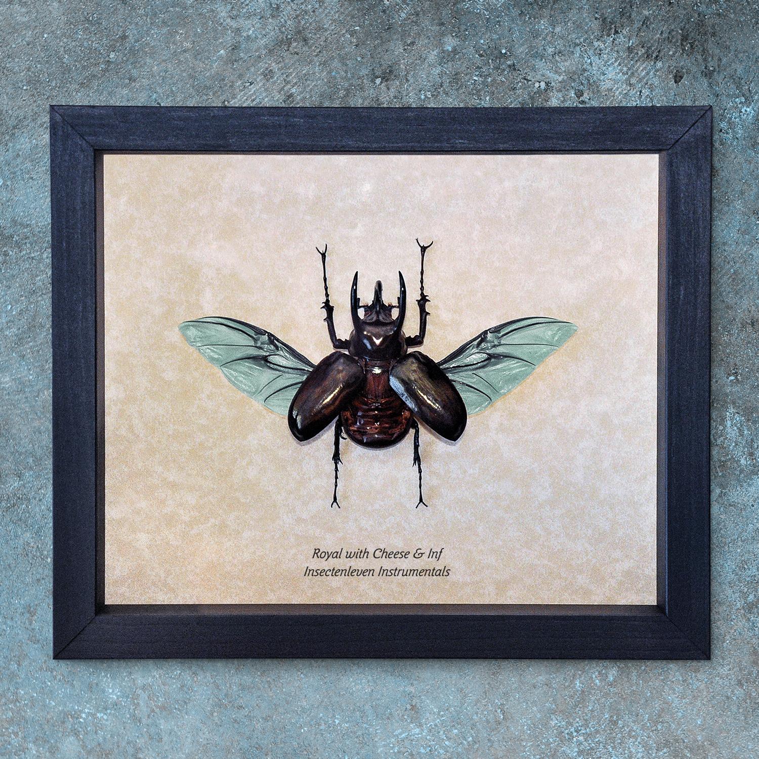 Insectenleven Instrumentals