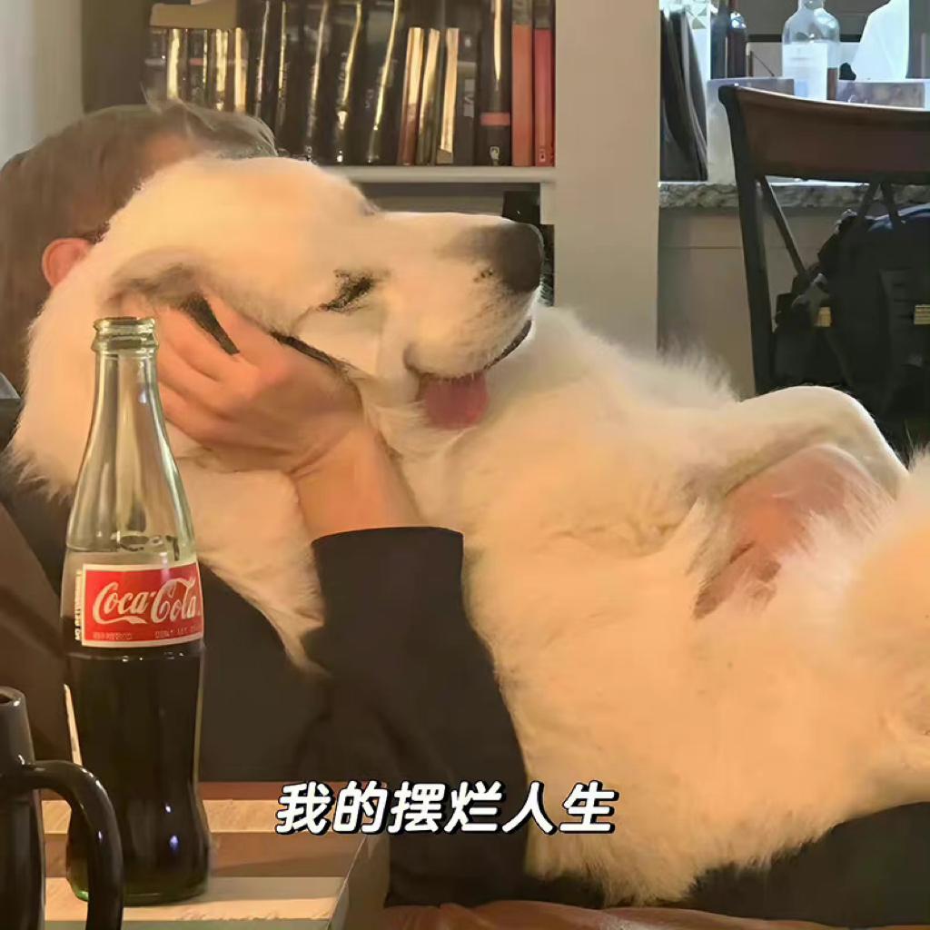 靠近子午线才可以听的摇滚乐