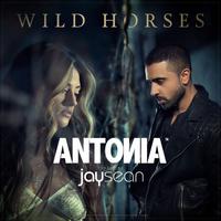 Antonia+Jay Sean-Wild Horses