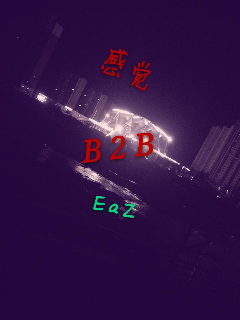 感觉 B2B EaZ专辑