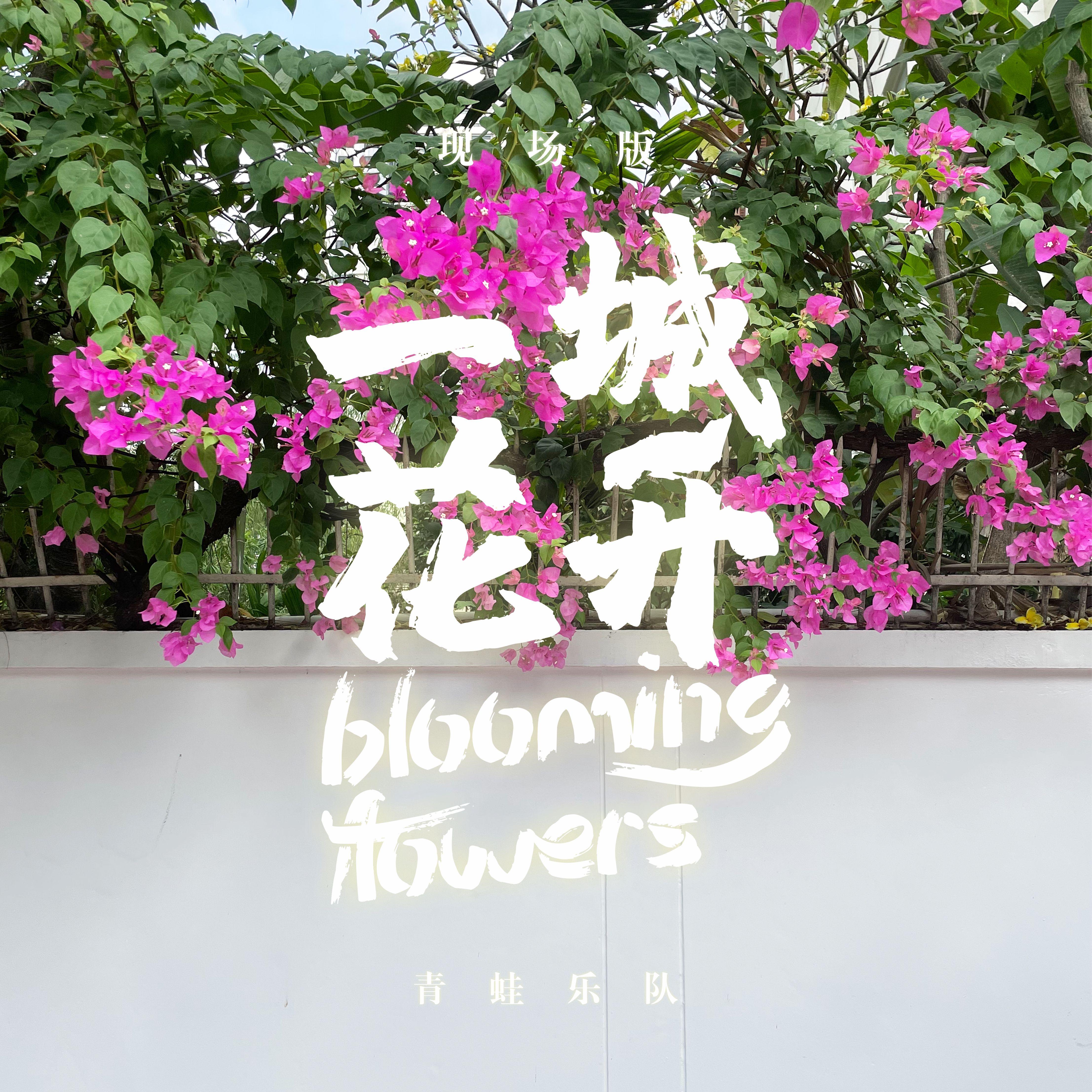 青蛙乐队歌曲封面