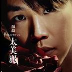 专辑《太美丽》