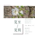 末路之美-荼蘼