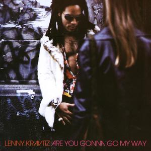 Lenny Kravitz - ARE YOU GONNA GO MY WAY （升5半音）