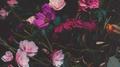 Wildflower专辑