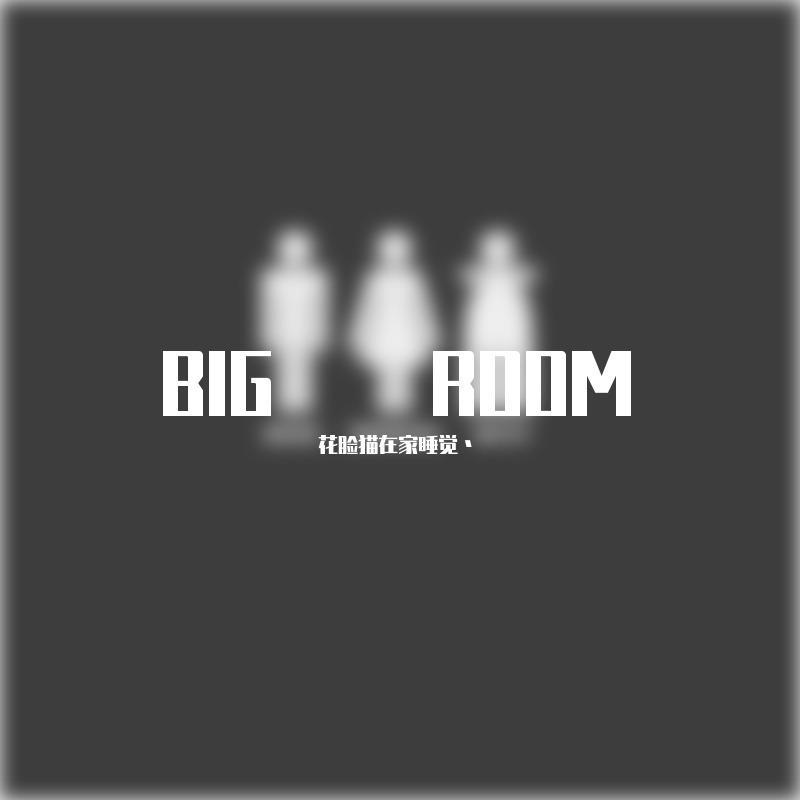 BIG ROOM
