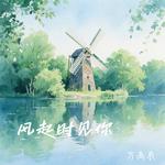 风起时见你专辑