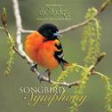 Songbird Symphony专辑