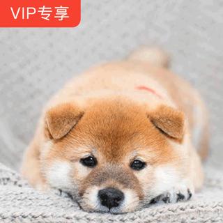 50句告白密语 | 我和你是一支唱不倦的情歌