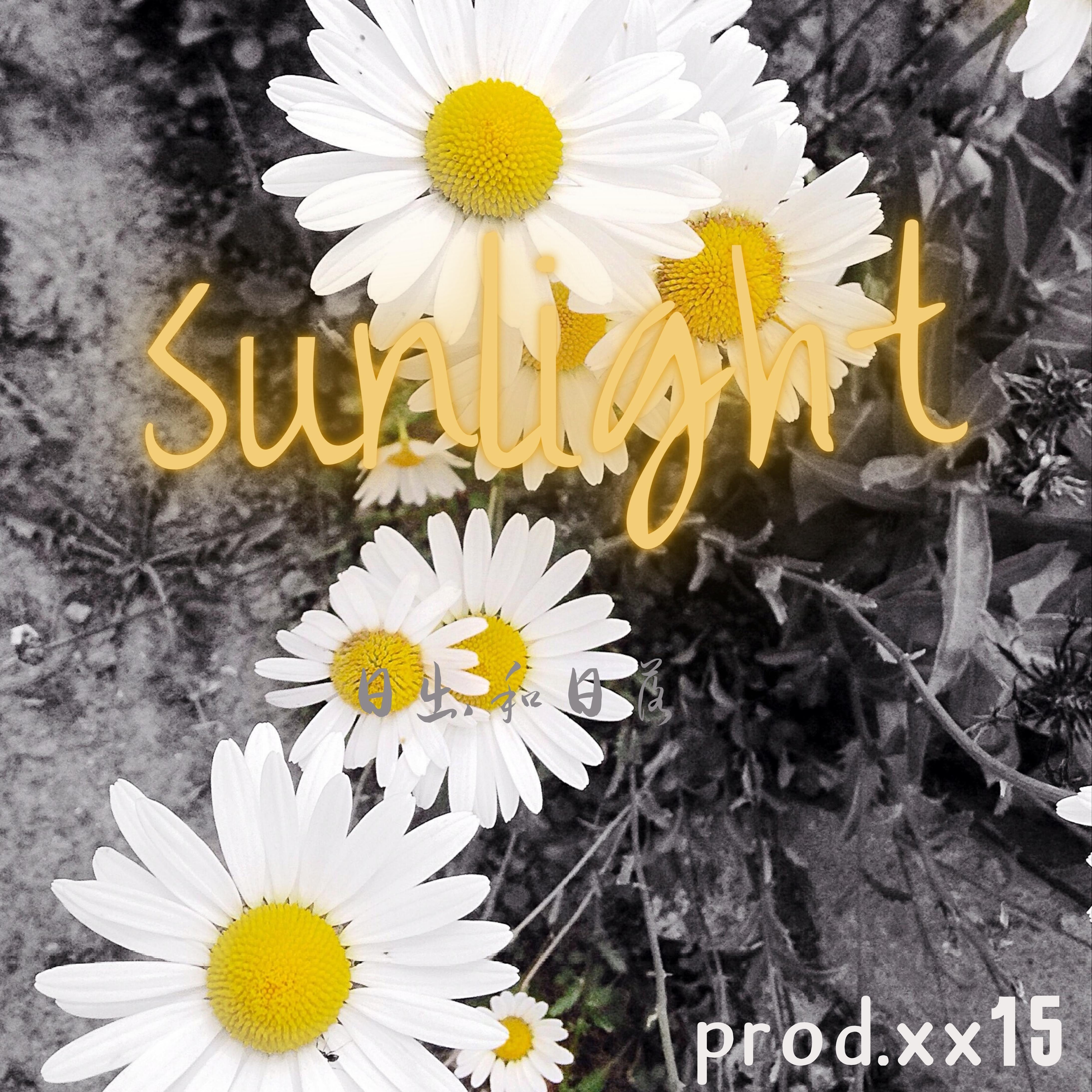 sunlight