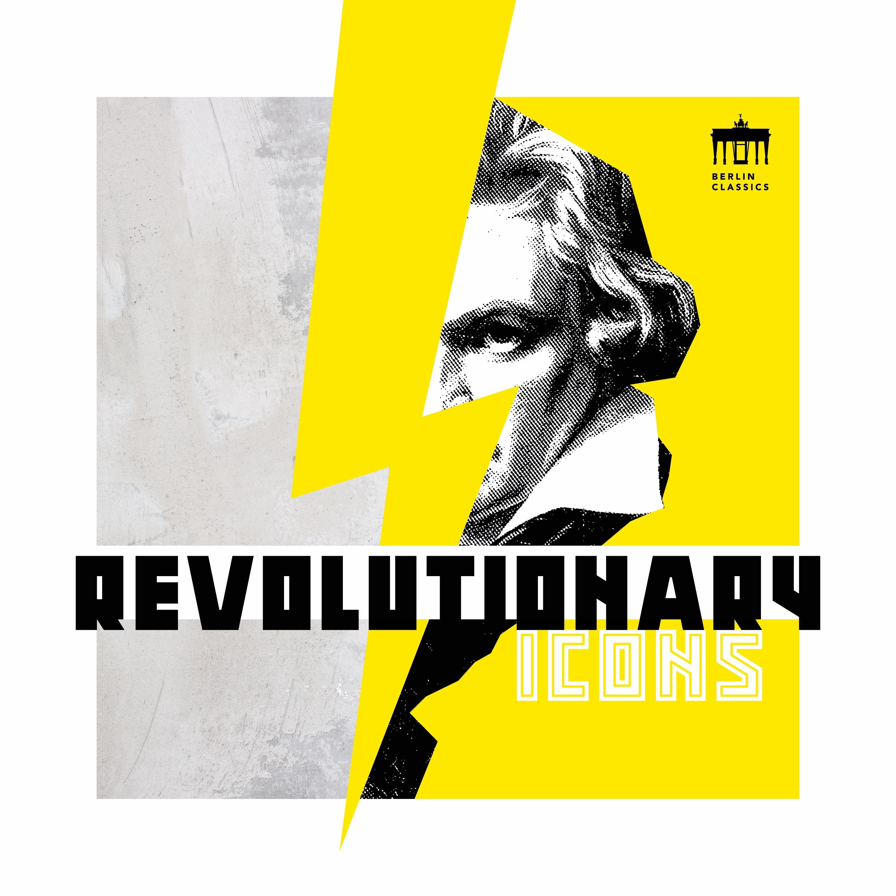 Revolutionary Icons