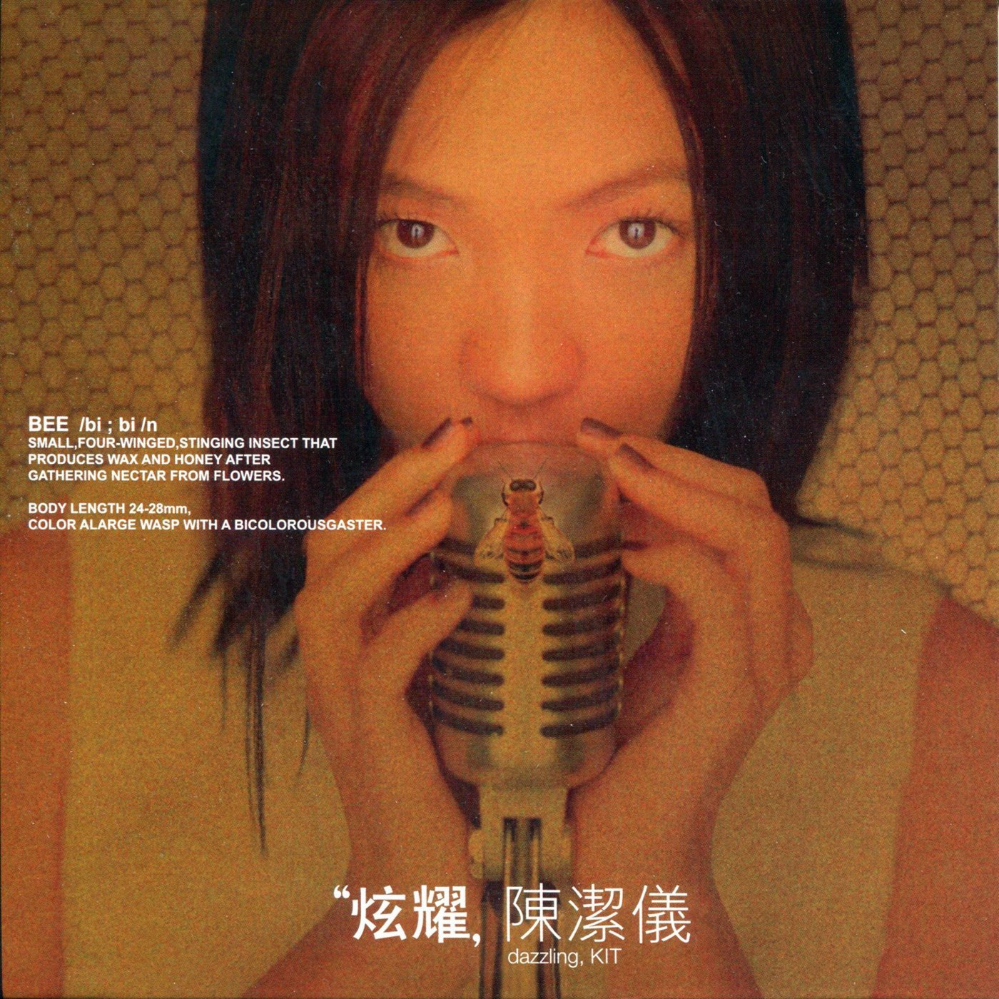 陈洁仪-《炫耀》