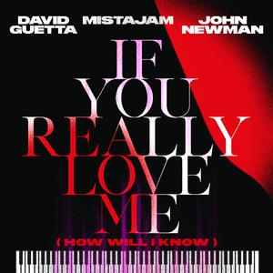 David Guetta x MistaJam x John Newman - If You Really Love Me (Instrumental) 原版无和声伴奏 （升7半音）