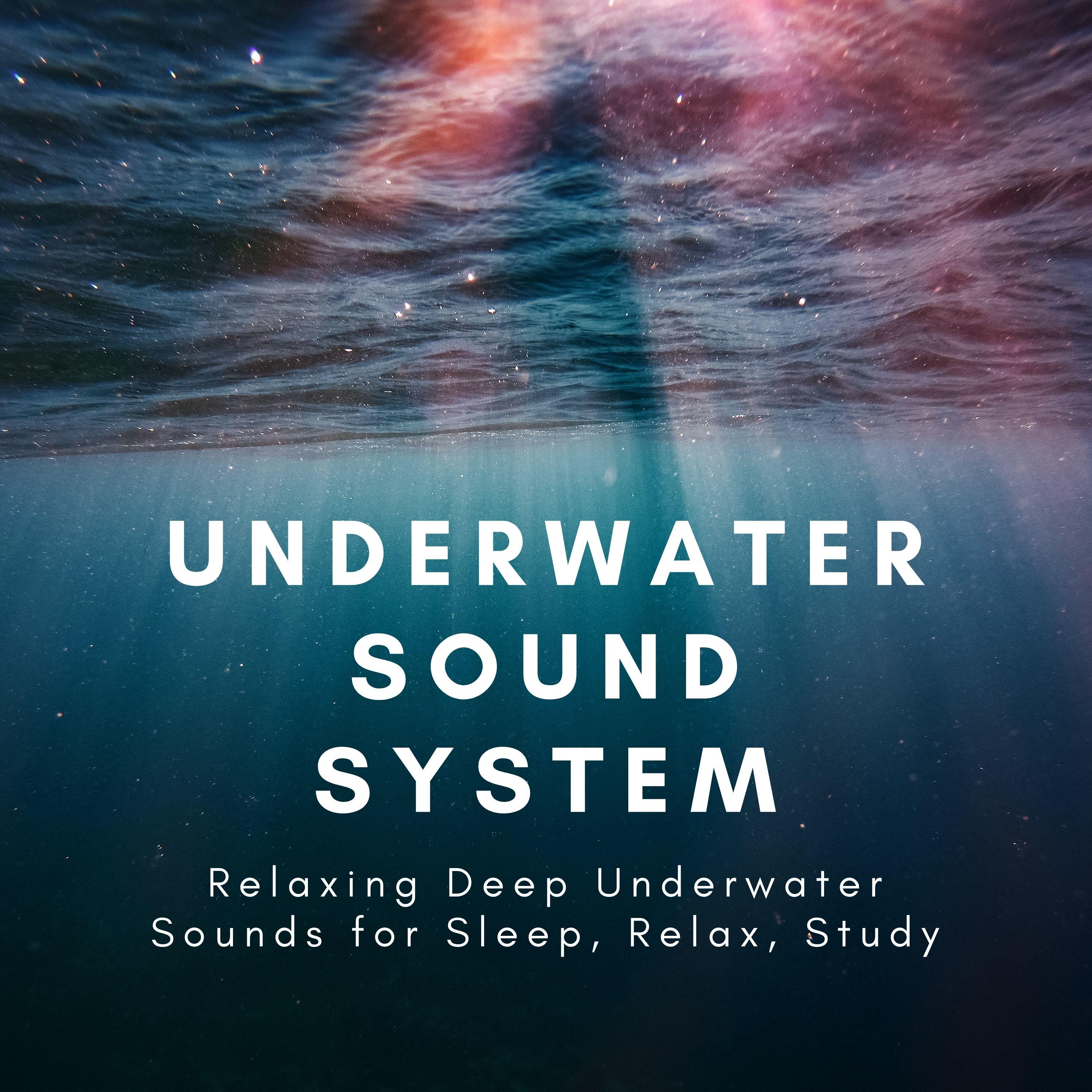 Underwater Sounds Specialists - Nature Sounds