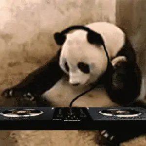 电音｜戴上耳机你就是全场最靓的仔！