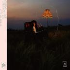 专辑《从流入夜》