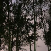 Monica的纯音翻弹
