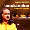 Sreevalsan J Menon - Arunachalanatham