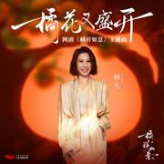 橘花又盛开