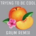 Trying To Be Cool (Grum Remix)专辑