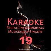 Karaoke Parfait Instrumentals Musicians & Singers, Vol. 19专辑