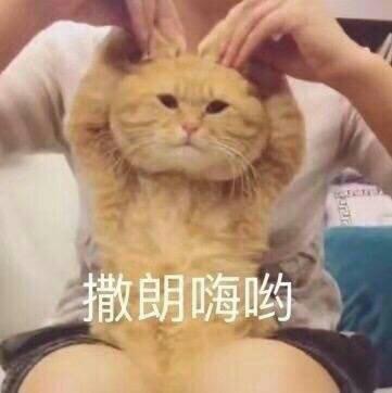 我是宝蓝色的elffffff