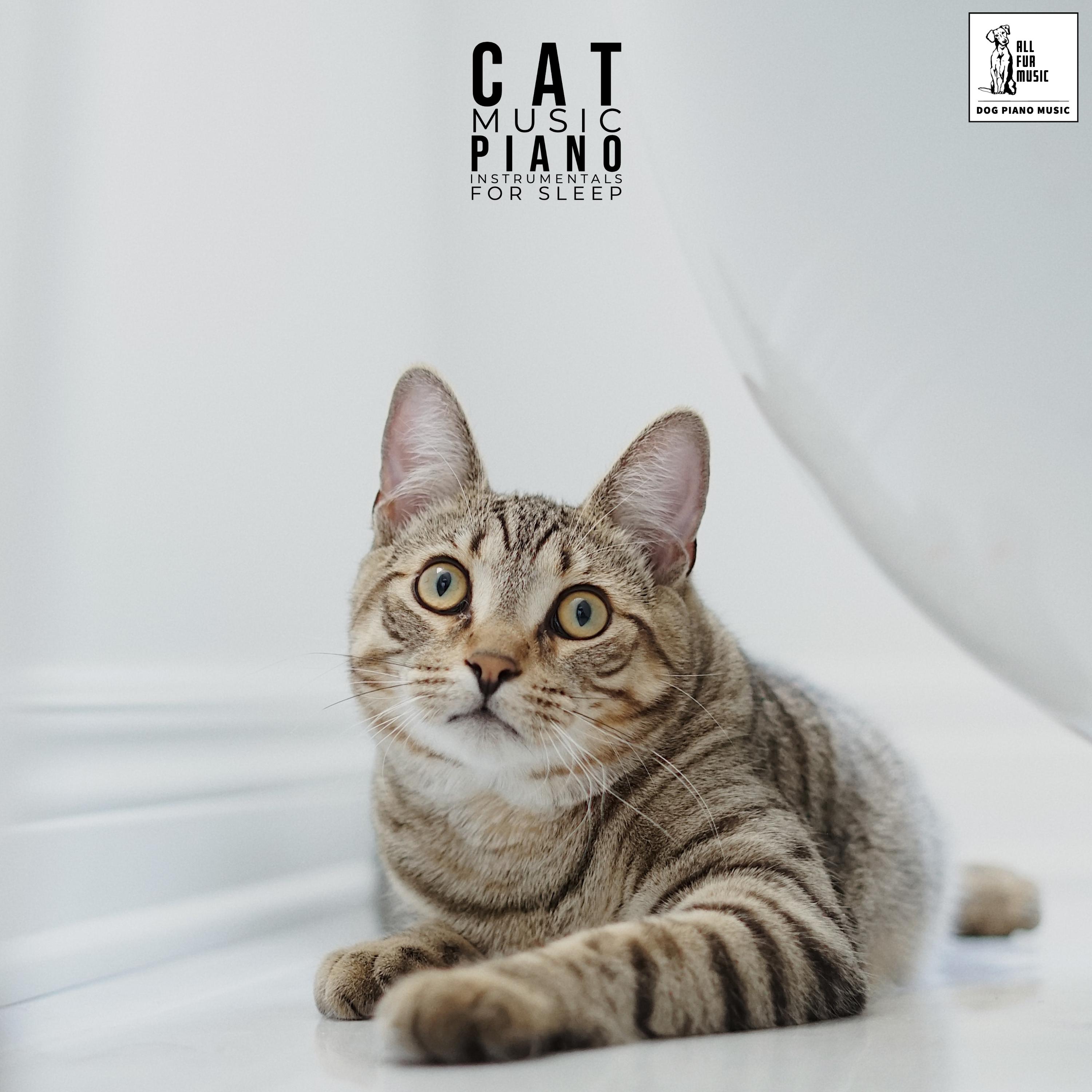 Cat Music Piano Instrumentals For Sleep
