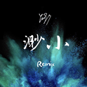 渺小 Remix专辑