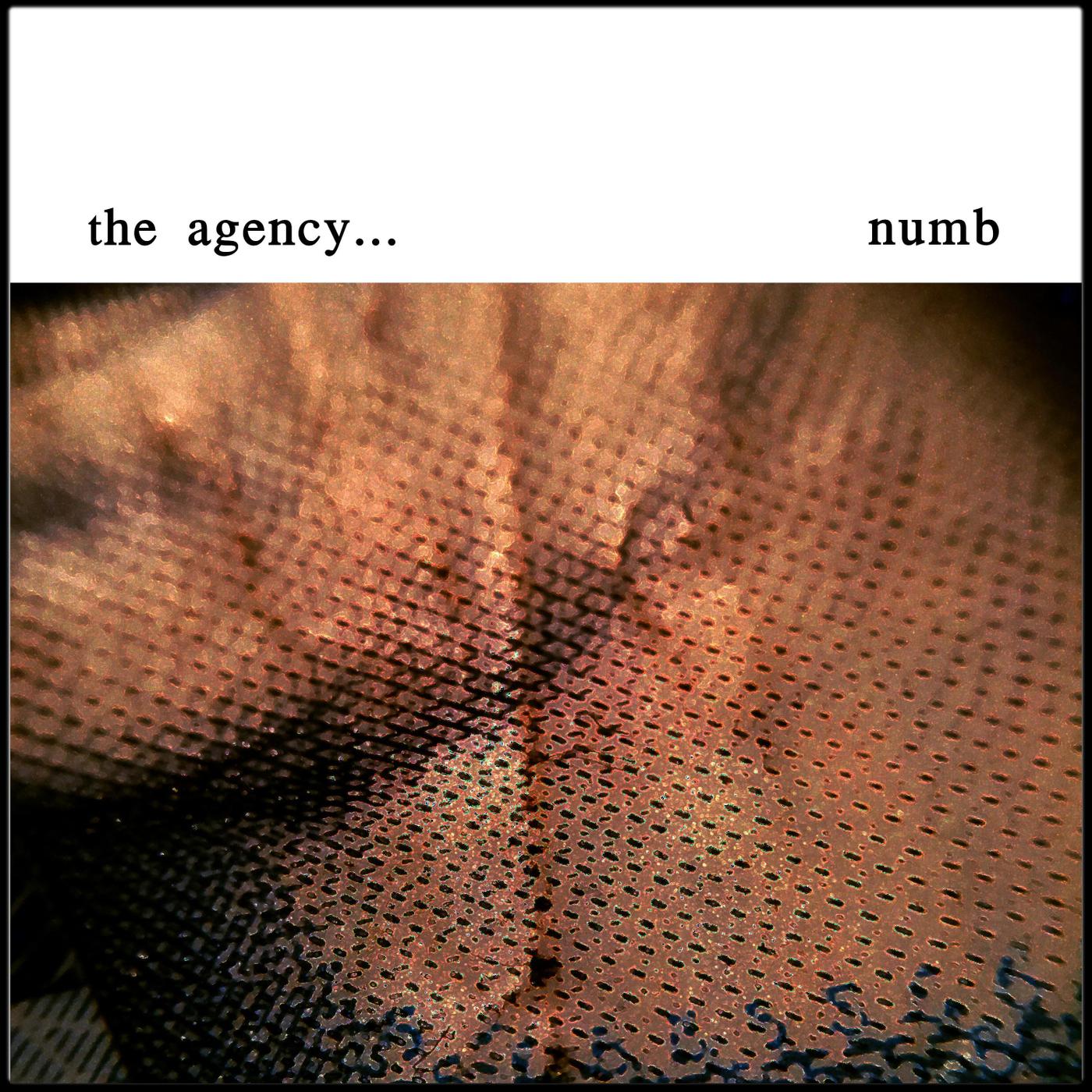 The Agency... - Numb