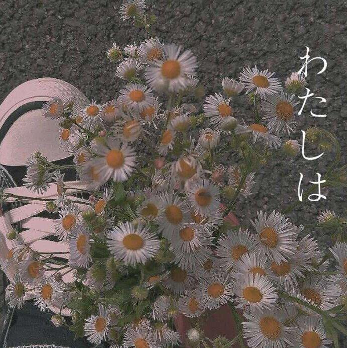 橘与枫叶 九月人间.