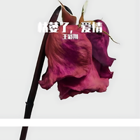 王彩翔 - 枯萎了,爱情