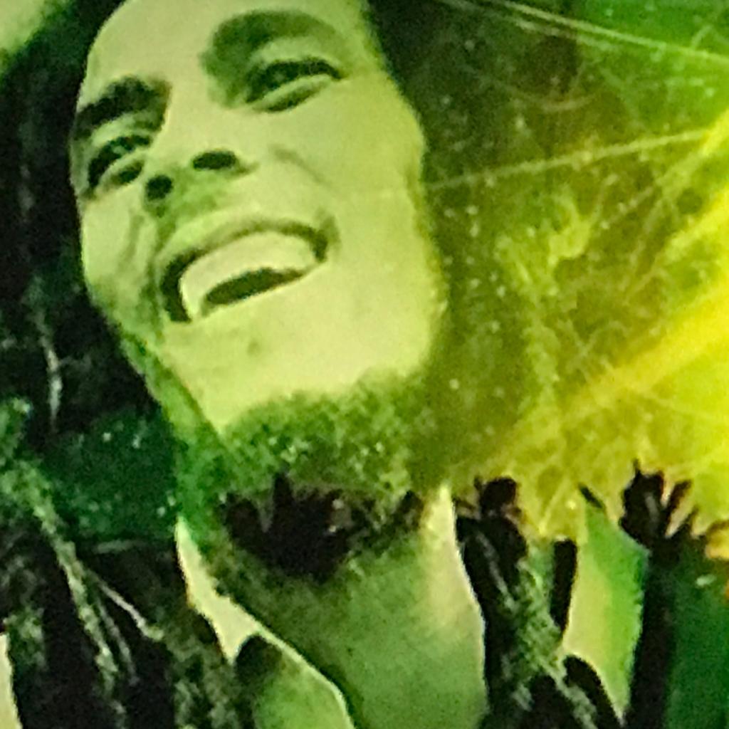 最经典最纯正的雷鬼REGGAE单 | 在线播放 | 网易云音乐