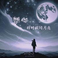 老范儿 - 想你的时候问月亮 (DJ范小松版)