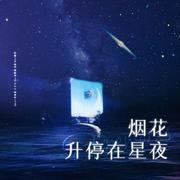 烟花升停在星夜（Cover宋亚轩&刘耀文）