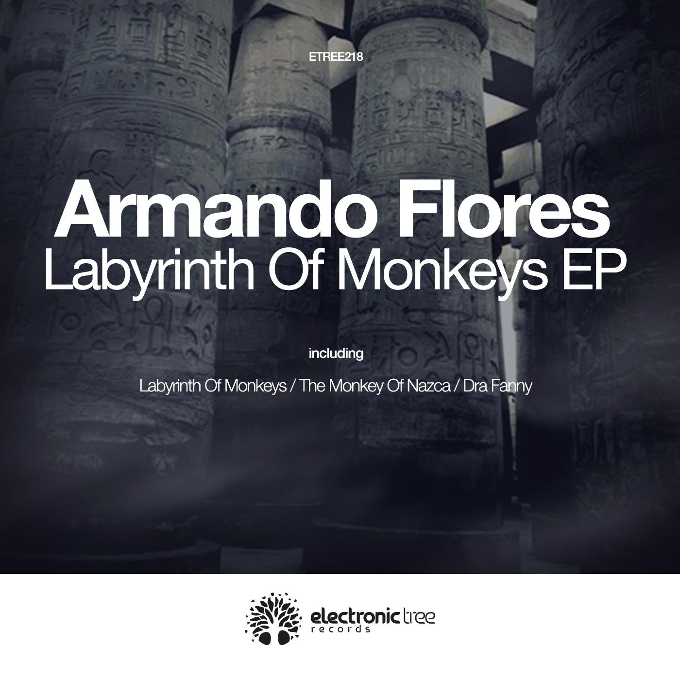 Labyrinth of Monkeys