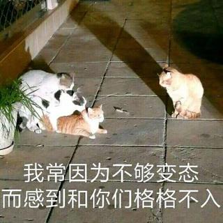 我 说 的 是 蒸 的。
