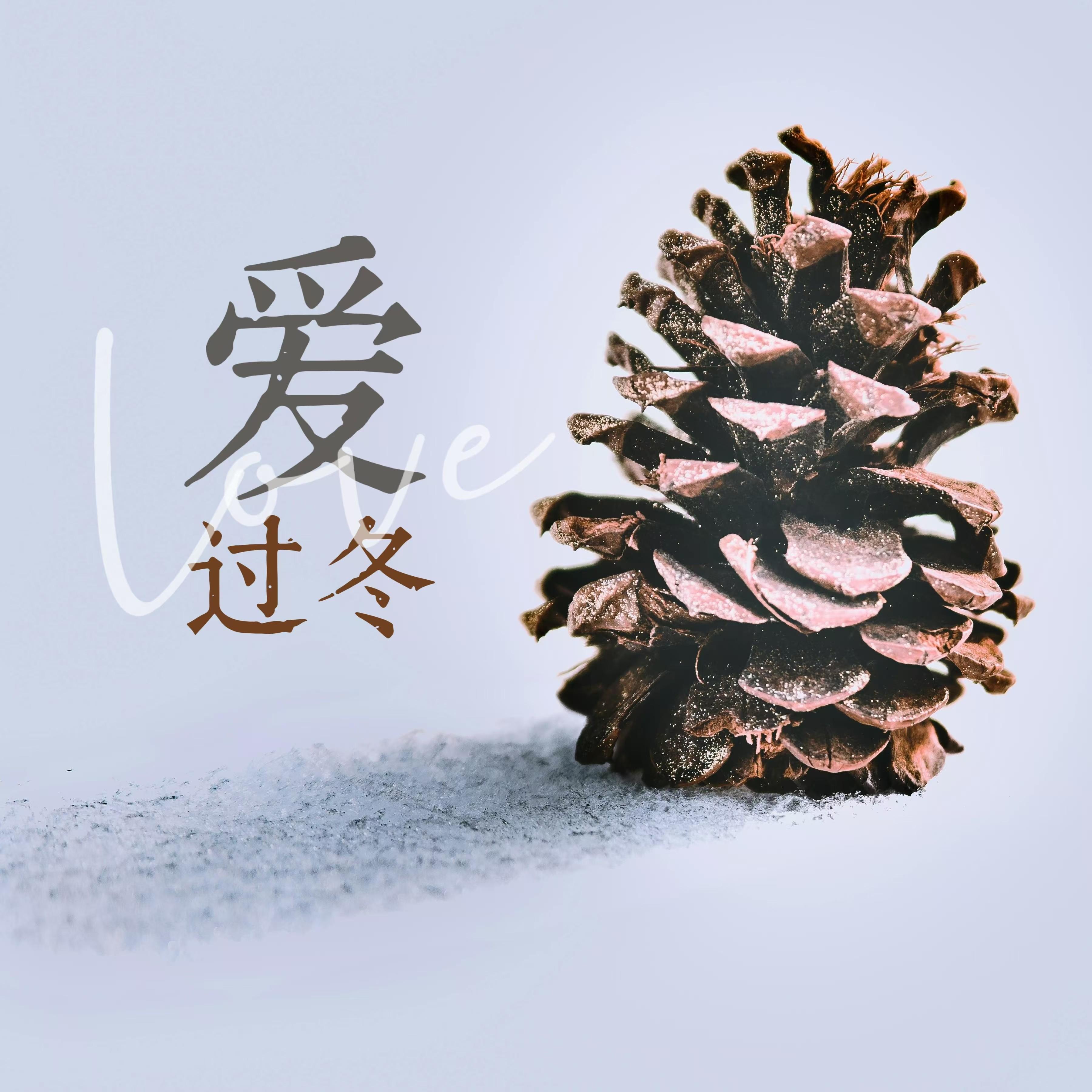 爱过冬（缘为冰）