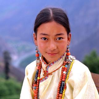 「藏歌」一人一首经典曲目